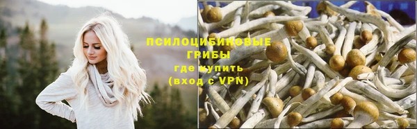 ГАЛЛЮЦИНОГЕННЫЕ ГРИБЫ Новокубанск